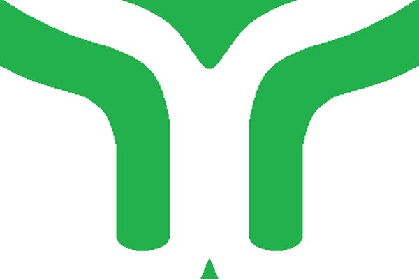 Basiscursus Urogynaecologie Groningen